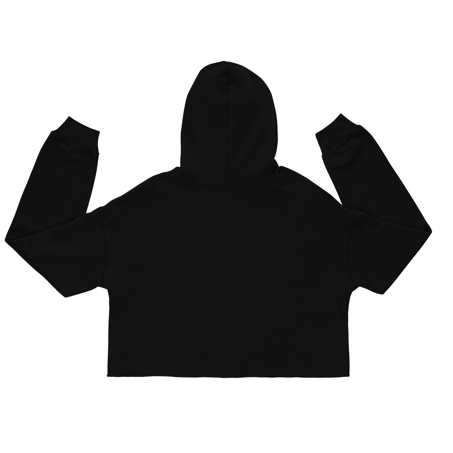 Wildfire Cigars Vulture cropped black hoodie facing the back