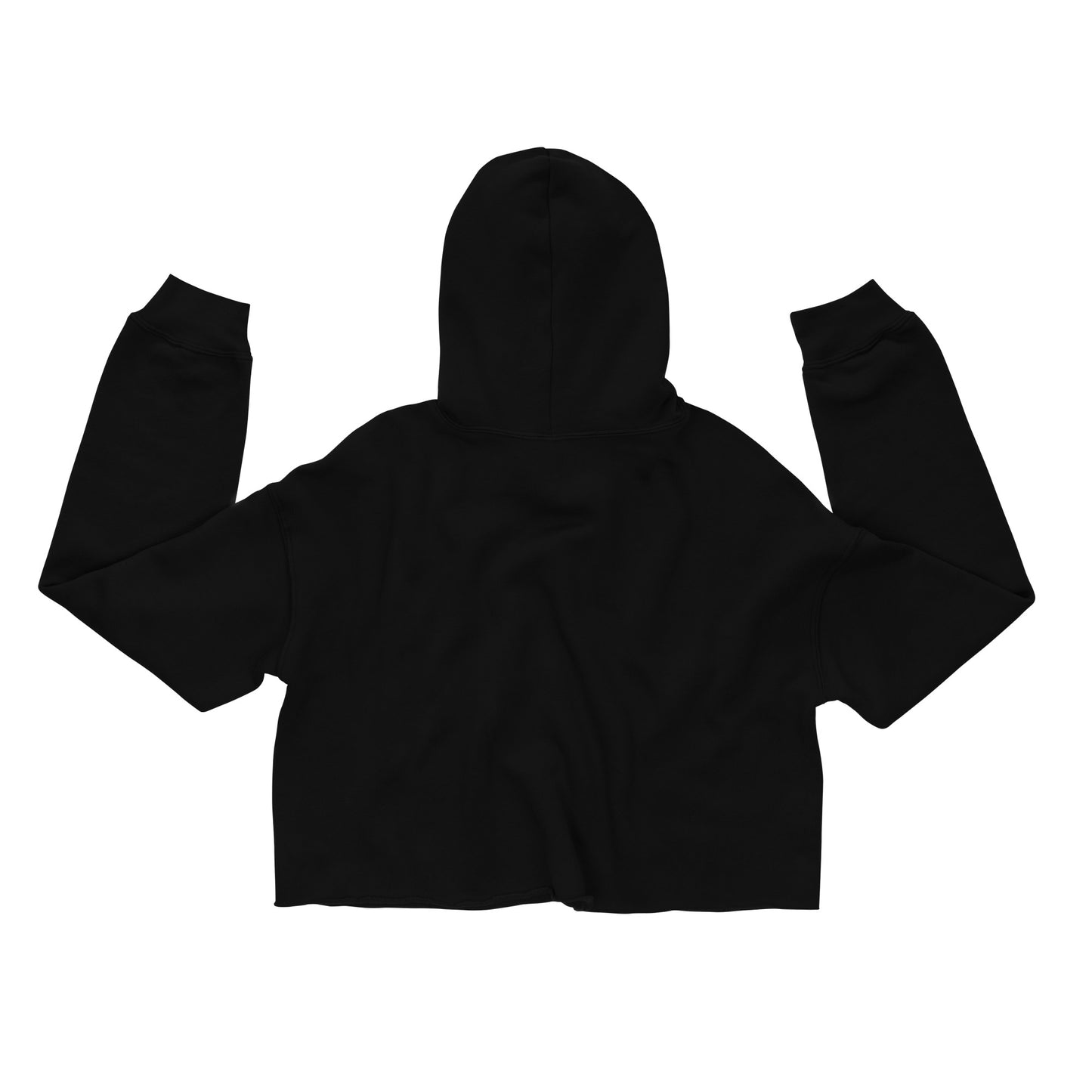 Wildfire Cigars Vulture cropped black hoodie facing the back